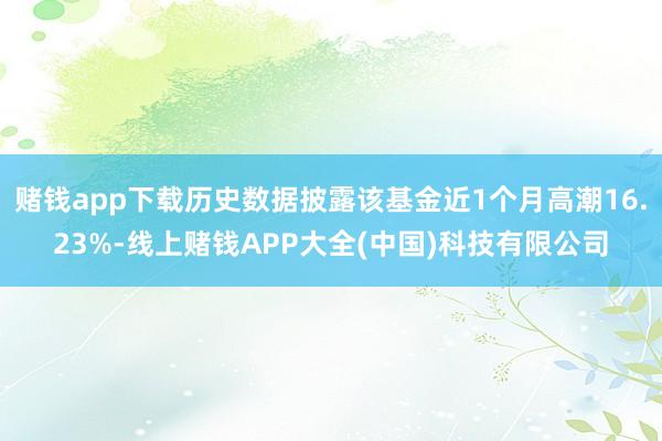 赌钱app下载历史数据披露该基金近1个月高潮16.23%-线上赌钱APP大全(中国)科技有限公司